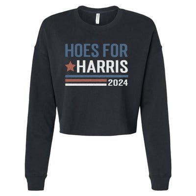 Hoes For Harris 24 Hotties For Harris 2024 Long Sleeve Cropped Pullover Crew