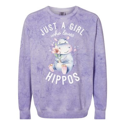 Hippo For Hippo Lover Cute Hippo Colorblast Crewneck Sweatshirt