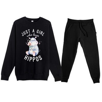 Hippo For Hippo Lover Cute Hippo Premium Crewneck Sweatsuit Set