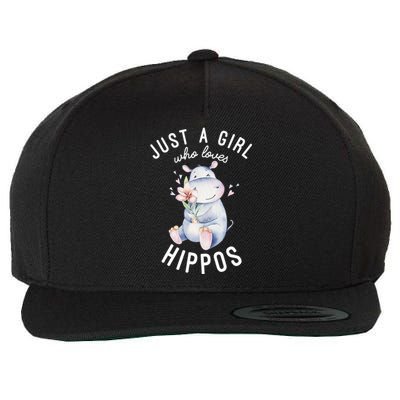 Hippo For Hippo Lover Cute Hippo Wool Snapback Cap