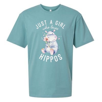 Hippo For Hippo Lover Cute Hippo Sueded Cloud Jersey T-Shirt