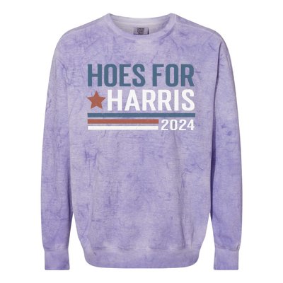 Hoes For Harris 24 Hotties For Harris 2024 Colorblast Crewneck Sweatshirt