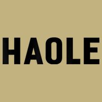Haole Funny Hawaii White Hawaiian Pidgin Unisex Cooling Performance Crew T-Shirt