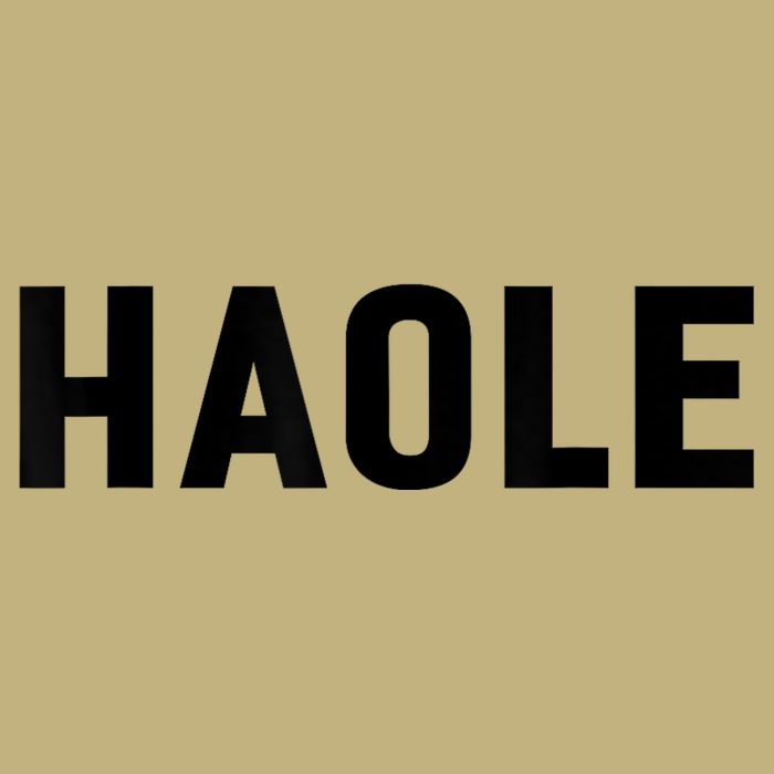 Haole Funny Hawaii White Hawaiian Pidgin Unisex Cooling Performance Crew T-Shirt