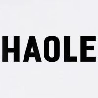 Haole Funny Hawaii White Hawaiian Pidgin Unisex Adult Drive Performance Visor