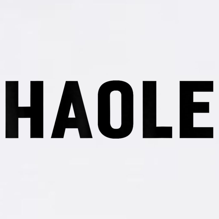 Haole Funny Hawaii White Hawaiian Pidgin Unisex Adult Drive Performance Visor