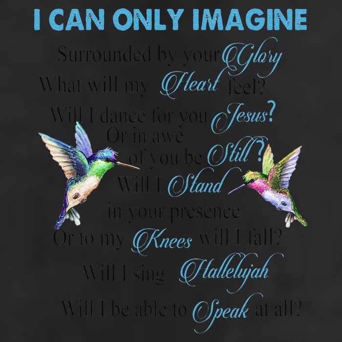 Hummingbirds Faith Jesus I Can Imagine Christian Religious 7 Panel Mesh Trucker Snapback Hat