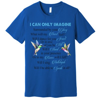 Hummingbirds Faith Jesus I Can Imagine Christian Religious Premium T-Shirt