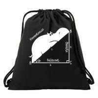 Hippopotenuse Funny Math and Geometry Pun Drawstring Bag