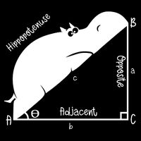 Hippopotenuse Funny Math and Geometry Pun Mousepad