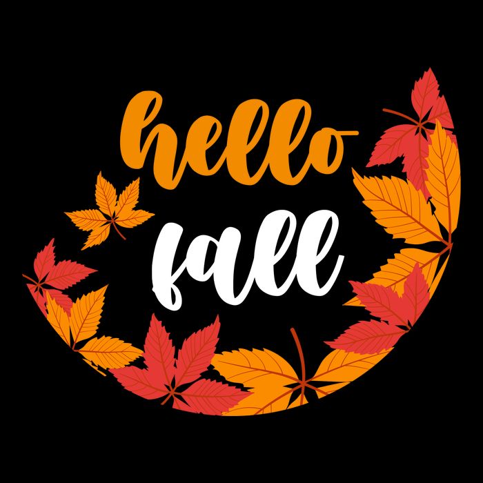 Hello Fall Nature Lover Tall Sweatshirt