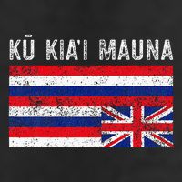 Hawaiian Flag Protest Protect Mauna Kea Ku Kiai Mauna Adult Drive Performance Visor