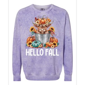 Hello Fall Pumpkin Highland Cow Harvest Season Autumn Cute Gift Colorblast Crewneck Sweatshirt