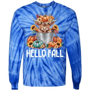 Hello Fall Pumpkin Highland Cow Harvest Season Autumn Cute Gift Tie-Dye Long Sleeve Shirt