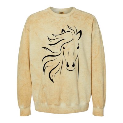 horse for riders and horse lovers Colorblast Crewneck Sweatshirt