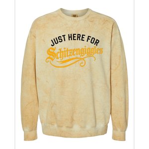 Here For Schitzengiggles Oktoberfest Group Bachelor Party Colorblast Crewneck Sweatshirt