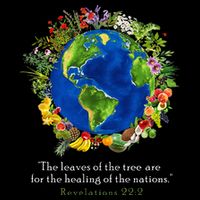 Healing For The Nations Revelations 222 Womens Tank Top