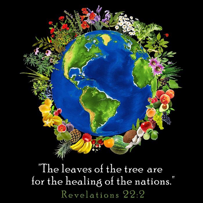 Healing For The Nations Revelations 222 Wool Snapback Cap
