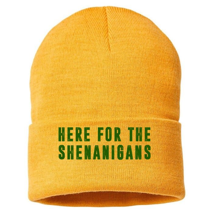 Here For The Shenanigans Sustainable Knit Beanie