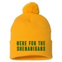 Here For The Shenanigans Pom Pom 12in Knit Beanie