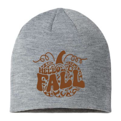 Hello Fall Vibes Leopard Pumpkin Sustainable Beanie
