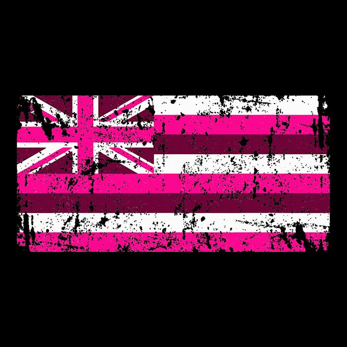 Hawaii Flag Vintage Hawaii Visor