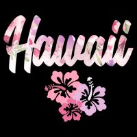 Hawaii Family Vacation Matching Gift City Backpack