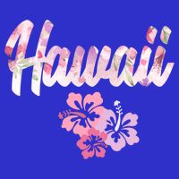 Hawaii Family Vacation Matching Gift 16 in Basic Backpack