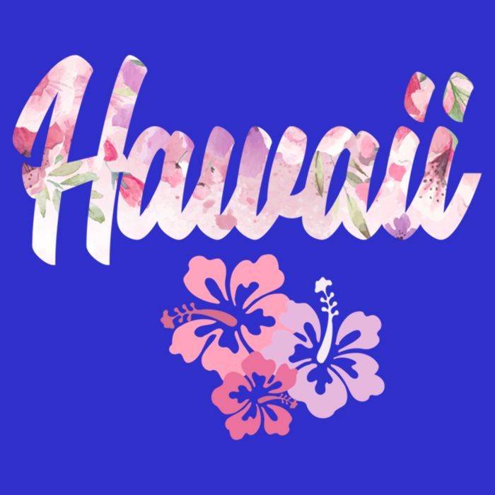 Hawaii Family Vacation Matching Gift 16 in Basic Backpack