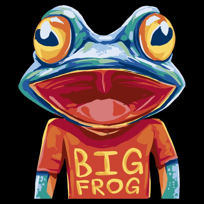Happy Frog With Big Eyes Drawstring Bag