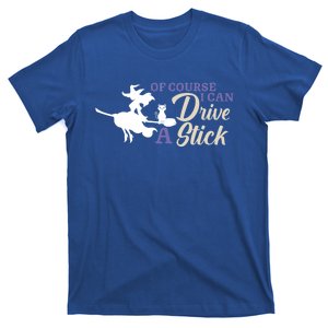 Halloween Funny Witch I Can Drive A Stick Witches Be Crazy Gift T-Shirt