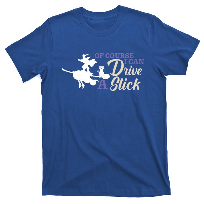 Halloween Funny Witch I Can Drive A Stick Witches Be Crazy Gift T-Shirt