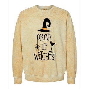 Halloween Funny Witch Up Witches Drunk Wine Beer Booze Gift Colorblast Crewneck Sweatshirt