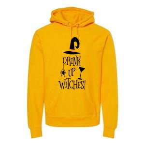 Halloween Funny Witch Up Witches Drunk Wine Beer Booze Gift Premium Hoodie