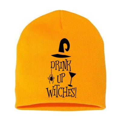 Halloween Funny Witch Up Witches Drunk Wine Beer Booze Gift Short Acrylic Beanie