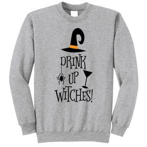 Halloween Funny Witch Up Witches Drunk Wine Beer Booze Gift Sweatshirt