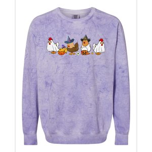 Halloween Funny Witch Spooky Chicken Costume Chick Or Treat Colorblast Crewneck Sweatshirt