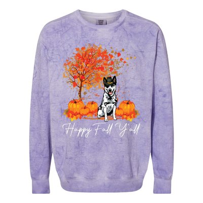 Happy Fall YAll Pumpkin Australian Cattle Dog Thanksgiving Long Sleeve Colorblast Crewneck Sweatshirt