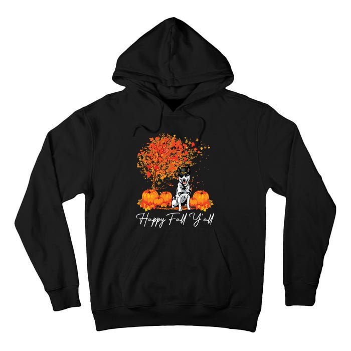 Happy Fall YAll Pumpkin Australian Cattle Dog Thanksgiving Long Sleeve Tall Hoodie