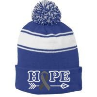 Hope Glioblastoma Awareness Meaningful Gift Stripe Pom Pom Beanie