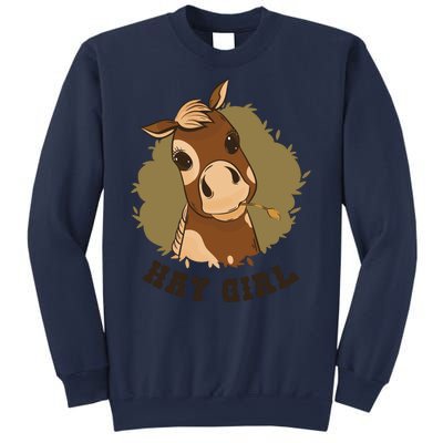 Hay Girl Cute Horse Sweatshirt