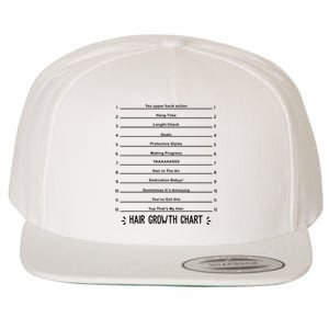 Hair Growth Chart Wool Snapback Cap