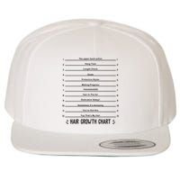 Hair Growth Chart Wool Snapback Cap