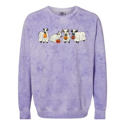 Halloween Ghost Cow Western Halloween Cow Halloween Cowboy Sweat Colorblast Crewneck Sweatshirt