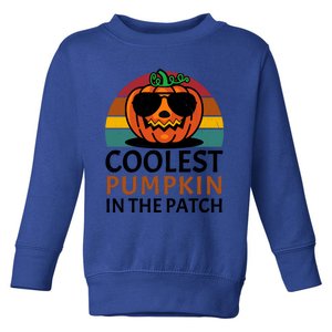 Halloween Gift Coolest Pumpkin In The Patch Gift Toddler Sweatshirt