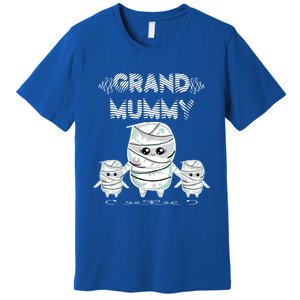 Halloween Grandma Costume Cute Grand Mummy Funny Grandmother Meaningful Gift Premium T-Shirt