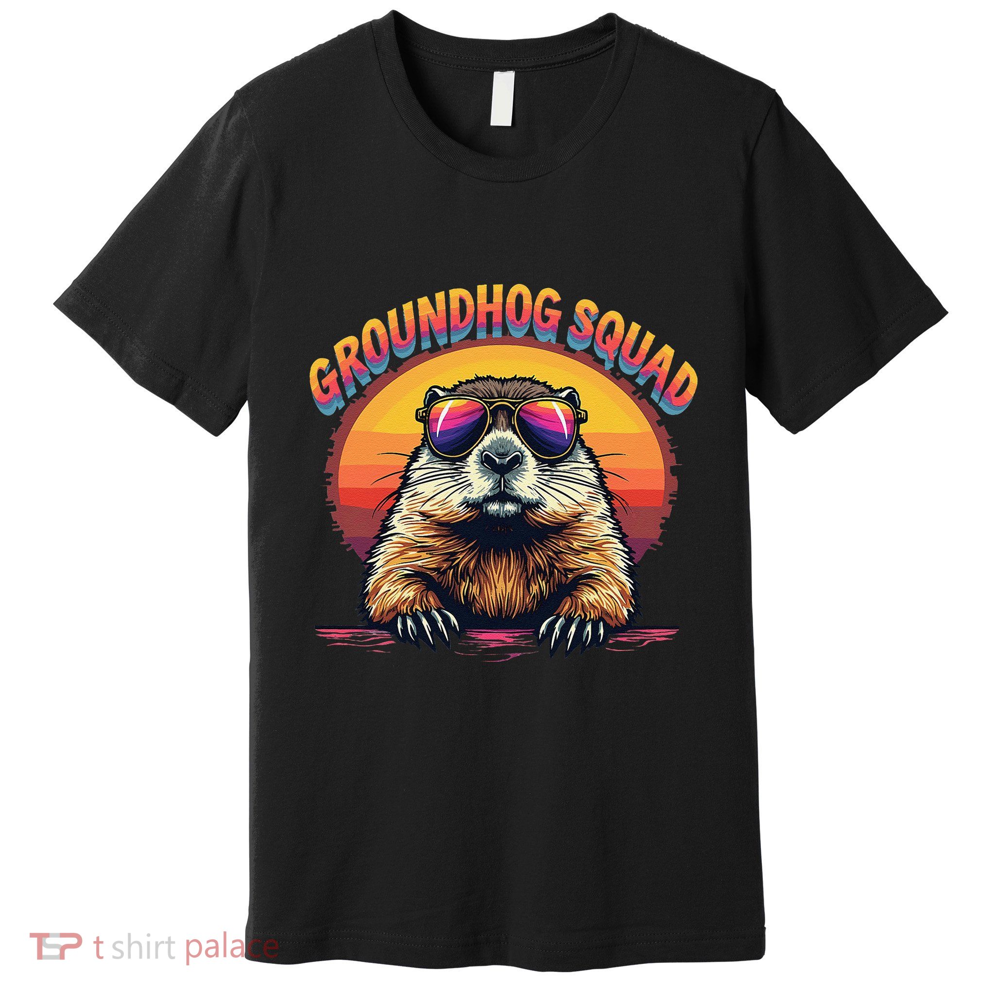 Happy Groundhog Day 2025 Funny Groundhog Squad Gift Premium T-Shirt