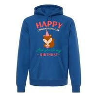 Happy Groundhog Day Birthday Groundhog Lovers Gift Premium Hoodie