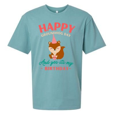 Happy Groundhog Day Birthday Groundhog Lovers Gift Sueded Cloud Jersey T-Shirt