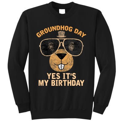 Happy Groundhog Day Lovers Costume Sweatshirt